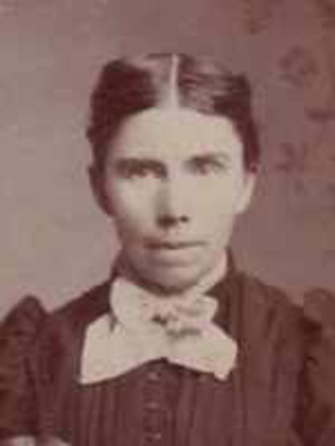 Sarah Ann Goatman (1853 - 1923) Profile